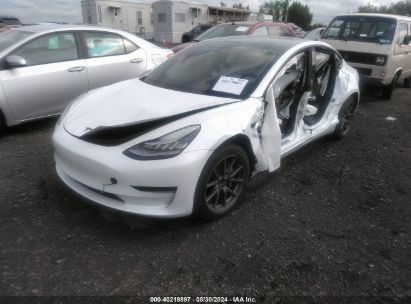 Lot #2997779201 2020 TESLA MODEL 3 STANDARD RANGE PLUS REAR-WHEEL DRIVE/STANDARD RANGE REAR-WHEEL DRIVE