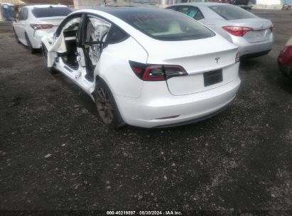 Lot #2997779201 2020 TESLA MODEL 3 STANDARD RANGE PLUS REAR-WHEEL DRIVE/STANDARD RANGE REAR-WHEEL DRIVE