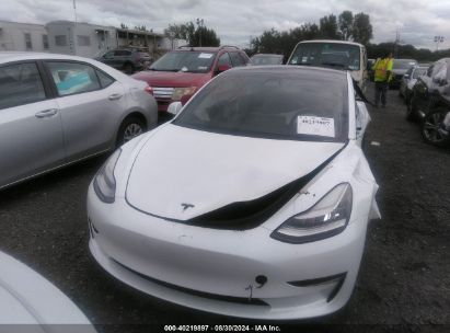 Lot #2997779201 2020 TESLA MODEL 3 STANDARD RANGE PLUS REAR-WHEEL DRIVE/STANDARD RANGE REAR-WHEEL DRIVE