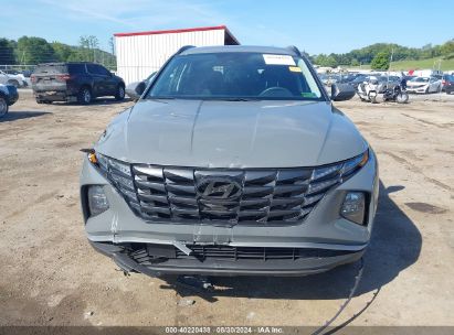 Lot #2990351360 2024 HYUNDAI TUCSON SEL