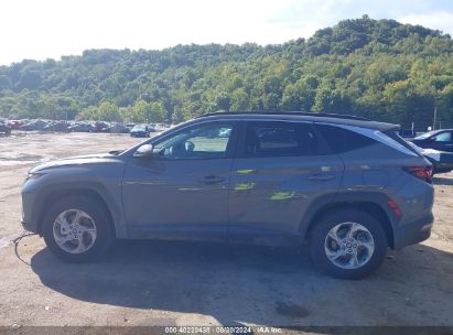 Lot #2990351360 2024 HYUNDAI TUCSON SEL