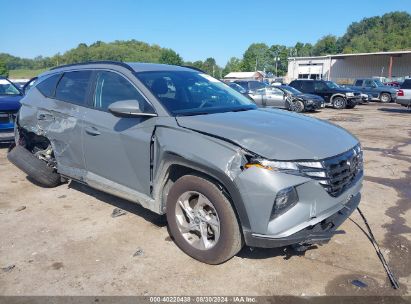 Lot #2990351360 2024 HYUNDAI TUCSON SEL