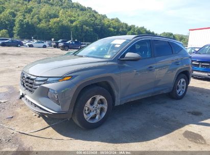 Lot #2990351360 2024 HYUNDAI TUCSON SEL