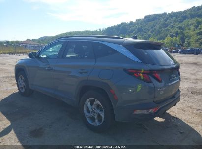 Lot #2990351360 2024 HYUNDAI TUCSON SEL