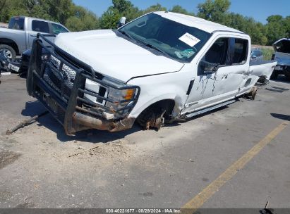 Lot #2990356568 2017 FORD F-250 XLT