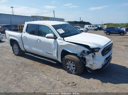 Lot #2992818785 2024 TOYOTA TACOMA SR5