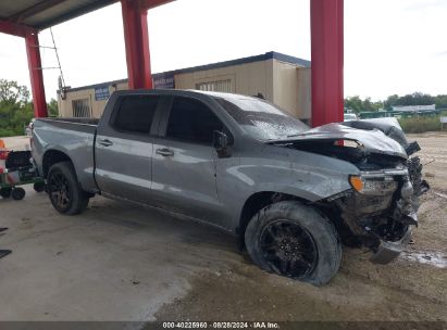 Lot #2997779169 2024 CHEVROLET SILVERADO 1500 2WD  SHORT BED RST