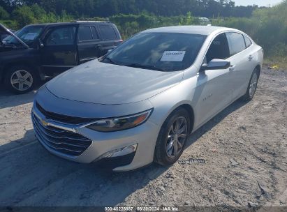 Lot #2994067861 2020 CHEVROLET MALIBU FWD LT