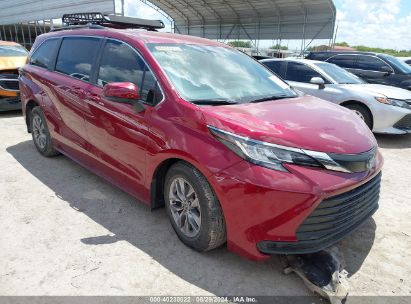 Lot #2992831378 2023 TOYOTA SIENNA LE