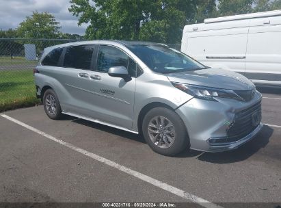 Lot #2992828354 2023 TOYOTA SIENNA XLE