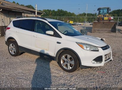 Lot #2991586806 2013 FORD ESCAPE SE