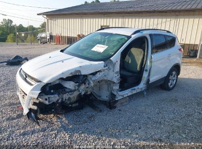 Lot #2991586806 2013 FORD ESCAPE SE