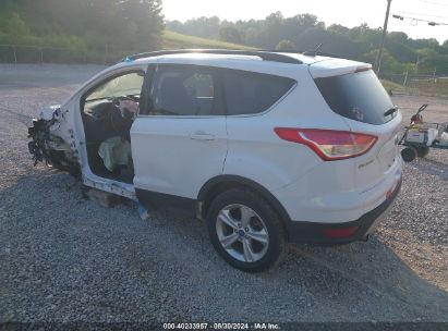 Lot #2991586806 2013 FORD ESCAPE SE