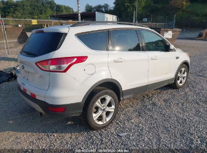 Lot #2991586806 2013 FORD ESCAPE SE