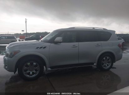 Lot #3004094638 2011 INFINITI QX56