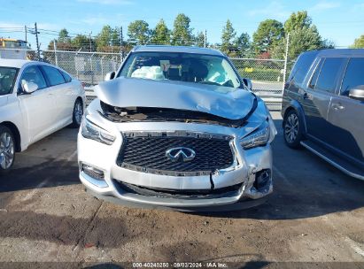 Lot #2992827839 2020 INFINITI QX60 PURE