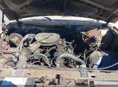 Lot #2992815096 1984 FORD F150