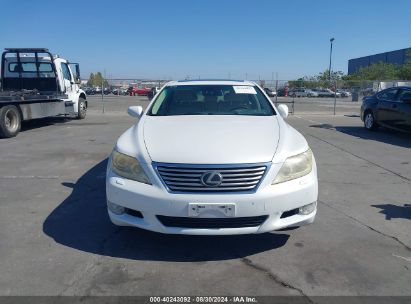 Lot #3037533337 2010 LEXUS LS 460 L