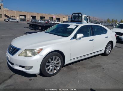 Lot #3037533337 2010 LEXUS LS 460 L