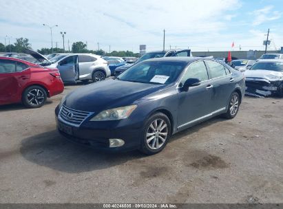 Lot #3035087760 2010 LEXUS ES 350