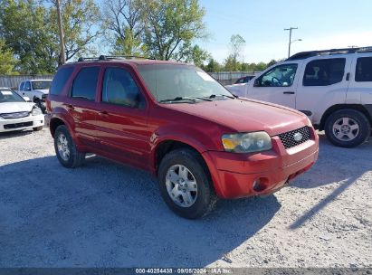 Lot #3035078070 2006 FORD ESCAPE LIMITED