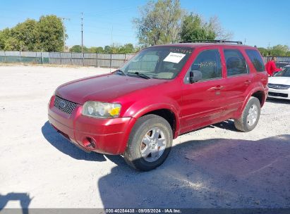 Lot #3035078070 2006 FORD ESCAPE LIMITED