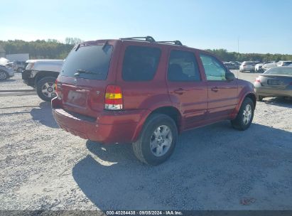 Lot #3035078070 2006 FORD ESCAPE LIMITED