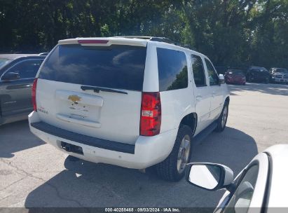 Lot #3035087688 2013 CHEVROLET TAHOE LT