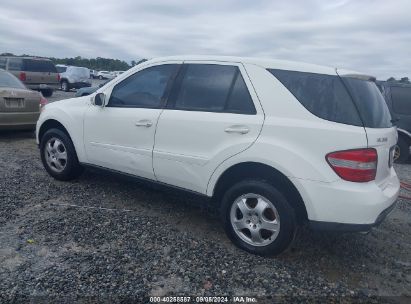 Lot #3037527982 2006 MERCEDES-BENZ ML 350 4MATIC