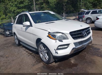 Lot #3005351856 2013 MERCEDES-BENZ ML 350 4MATIC