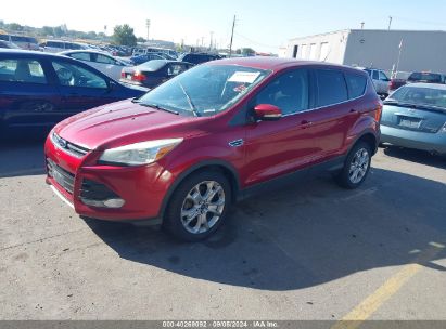 Lot #3035089902 2013 FORD ESCAPE SEL