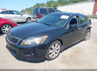 Lot #3052077329 2009 HONDA ACCORD 3.5 EX-L