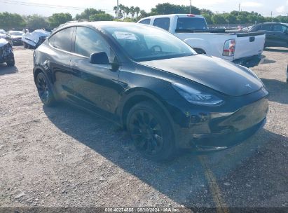 Lot #3035078294 2023 TESLA MODEL Y