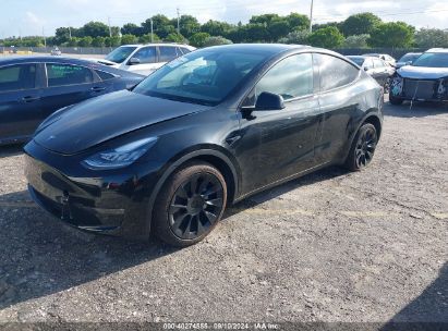 Lot #3035078294 2023 TESLA MODEL Y