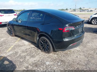 Lot #3035078294 2023 TESLA MODEL Y