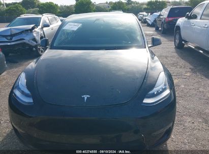 Lot #3035078294 2023 TESLA MODEL Y