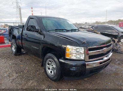 Lot #2991586902 2011 CHEVROLET SILVERADO 1500 WORK TRUCK