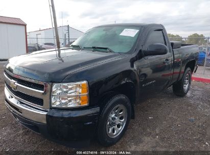 Lot #2991586902 2011 CHEVROLET SILVERADO 1500 WORK TRUCK