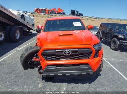 Lot #2992833367 2024 TOYOTA TACOMA