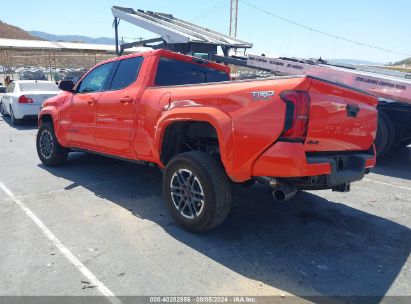 Lot #2992833367 2024 TOYOTA TACOMA