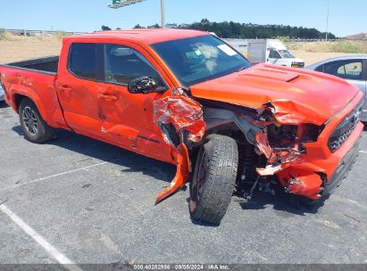 Lot #2992833367 2024 TOYOTA TACOMA