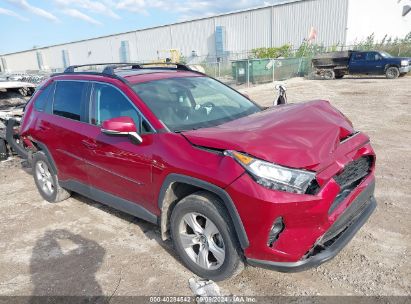 Lot #2997778820 2020 TOYOTA RAV4 XLE