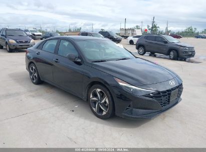 Lot #2992819816 2023 HYUNDAI ELANTRA SEL