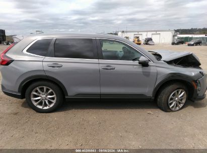 Lot #2992818758 2024 HONDA CR-V EX-L AWD