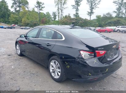 Lot #3042572065 2023 CHEVROLET MALIBU FWD 1LT