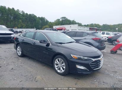 Lot #3042572065 2023 CHEVROLET MALIBU FWD 1LT