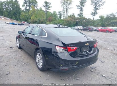 Lot #3042572065 2023 CHEVROLET MALIBU FWD 1LT