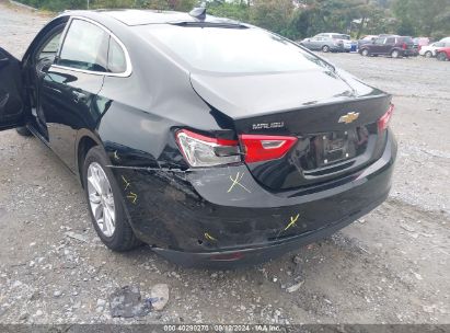 Lot #3042572065 2023 CHEVROLET MALIBU FWD 1LT