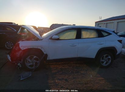 Lot #2990355088 2022 HYUNDAI TUCSON SE