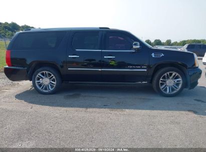 Lot #3036722042 2014 CADILLAC ESCALADE ESV PLATINUM EDITION